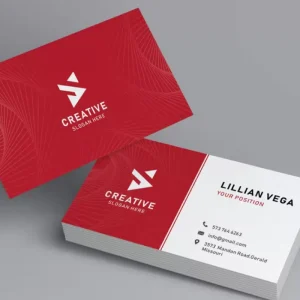 Carte de Visite ( 350 G )