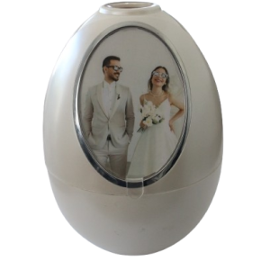 Air Purifier Personnalisé